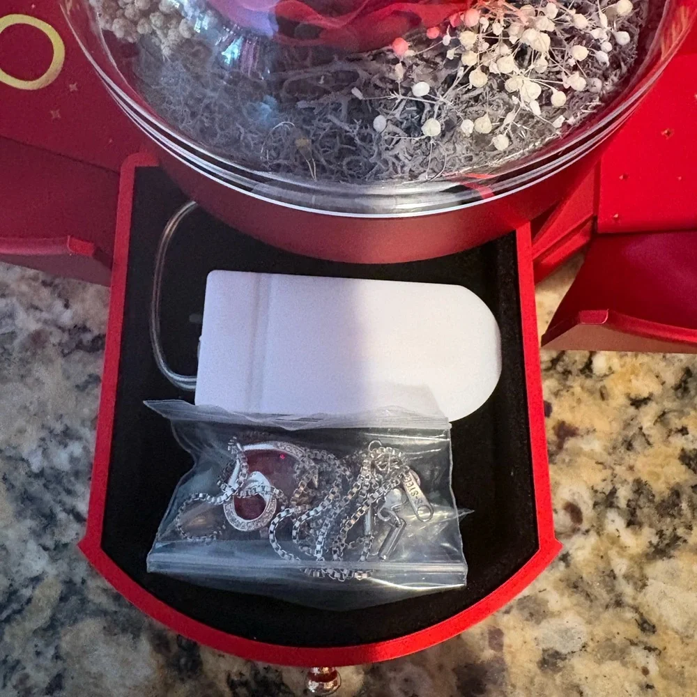 🌹Preserved Lighted Rose Box with Necklace